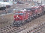 CP 8028